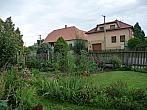 Třibřichy